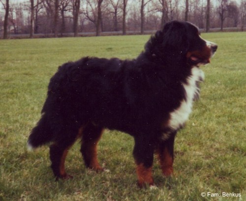 Erinnerung an Bruno 16