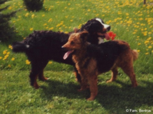 Erinnerung an Bruno 24