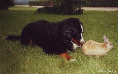 Erinnerung an Bruno 21