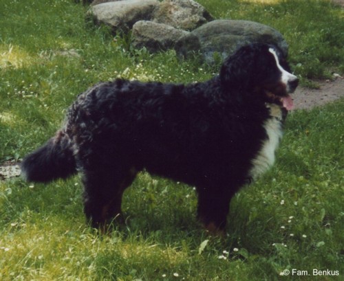 Erinnerung an Bruno 18